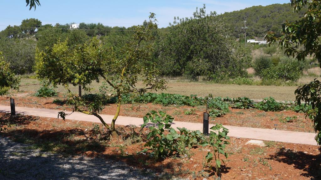 Can Gat Sant Carles de Peralta Habitación foto